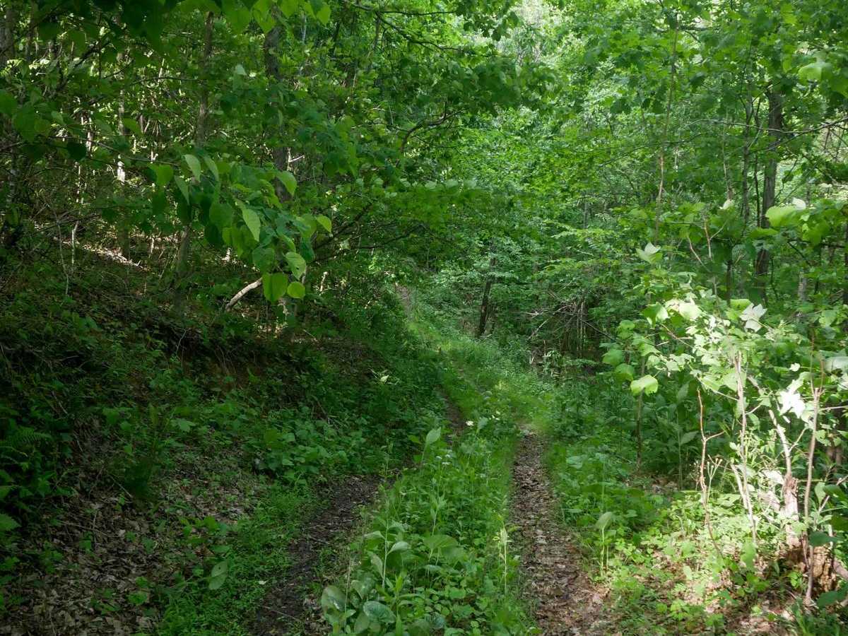 RV29 photo 2