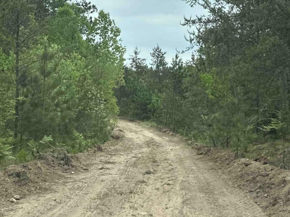 FS 510 to Ozark photo 5