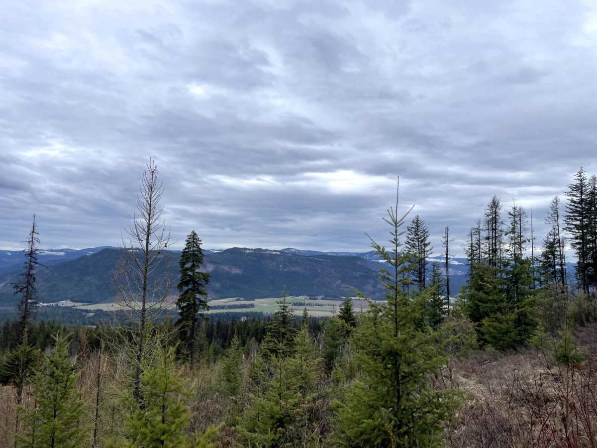 Butter Spur trail photo