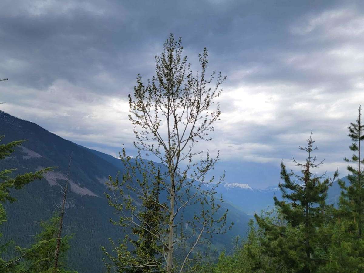 Buchanan Lookout photo 5
