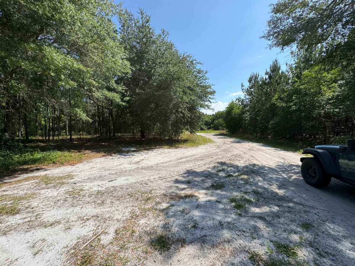 Fish Camp Road - CR2082 Connector photo 5