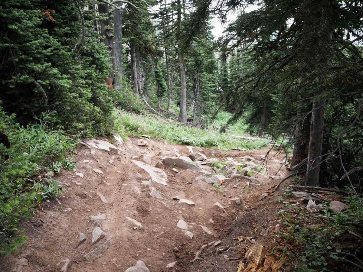 Corbly Gulch photo 3