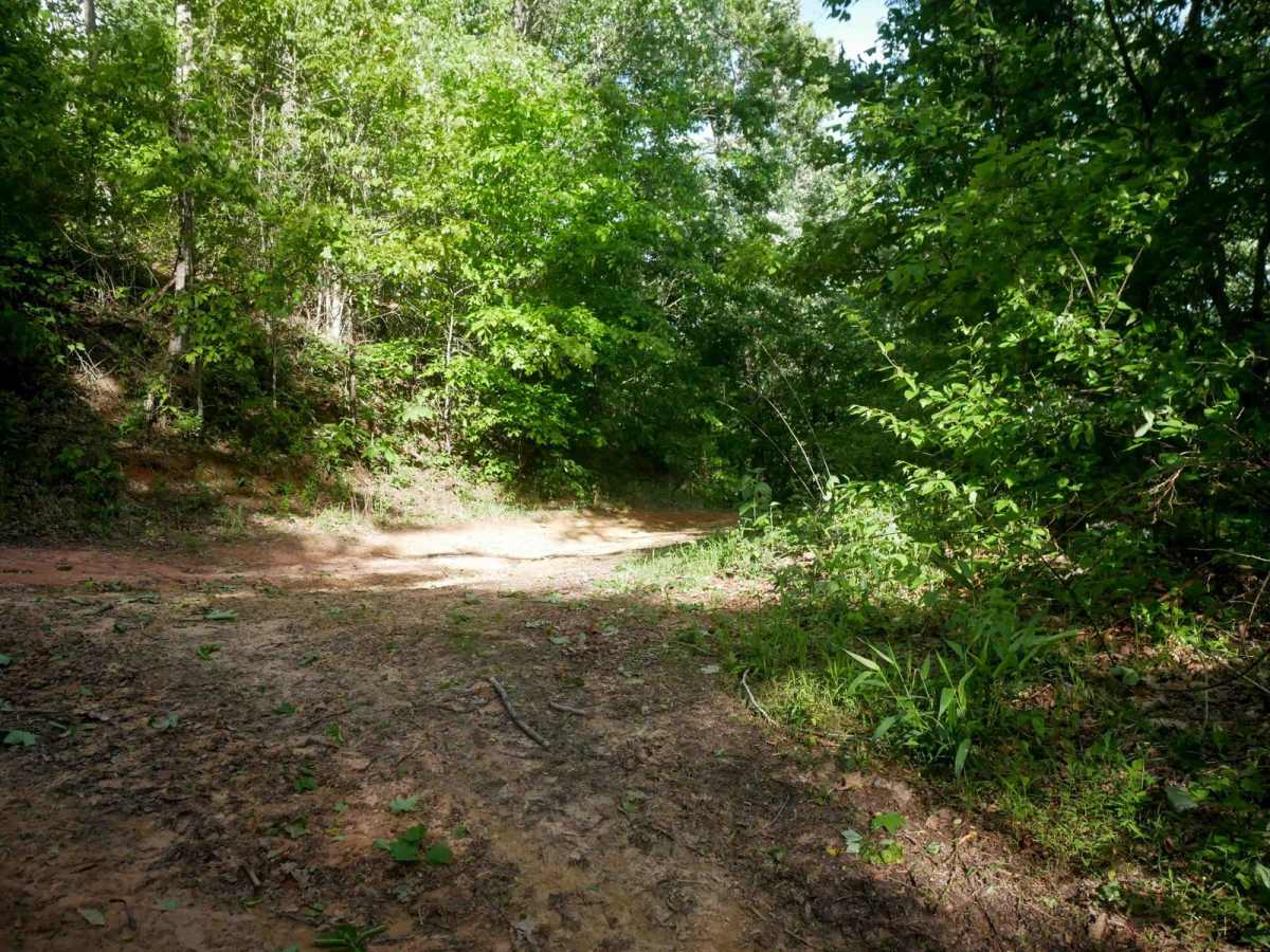 RV11 photo 2