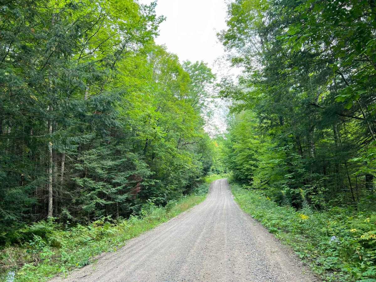 Indian Market Road - FS 2139 photo 2