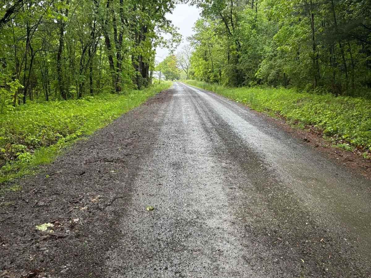Parker Hill Road photo 4