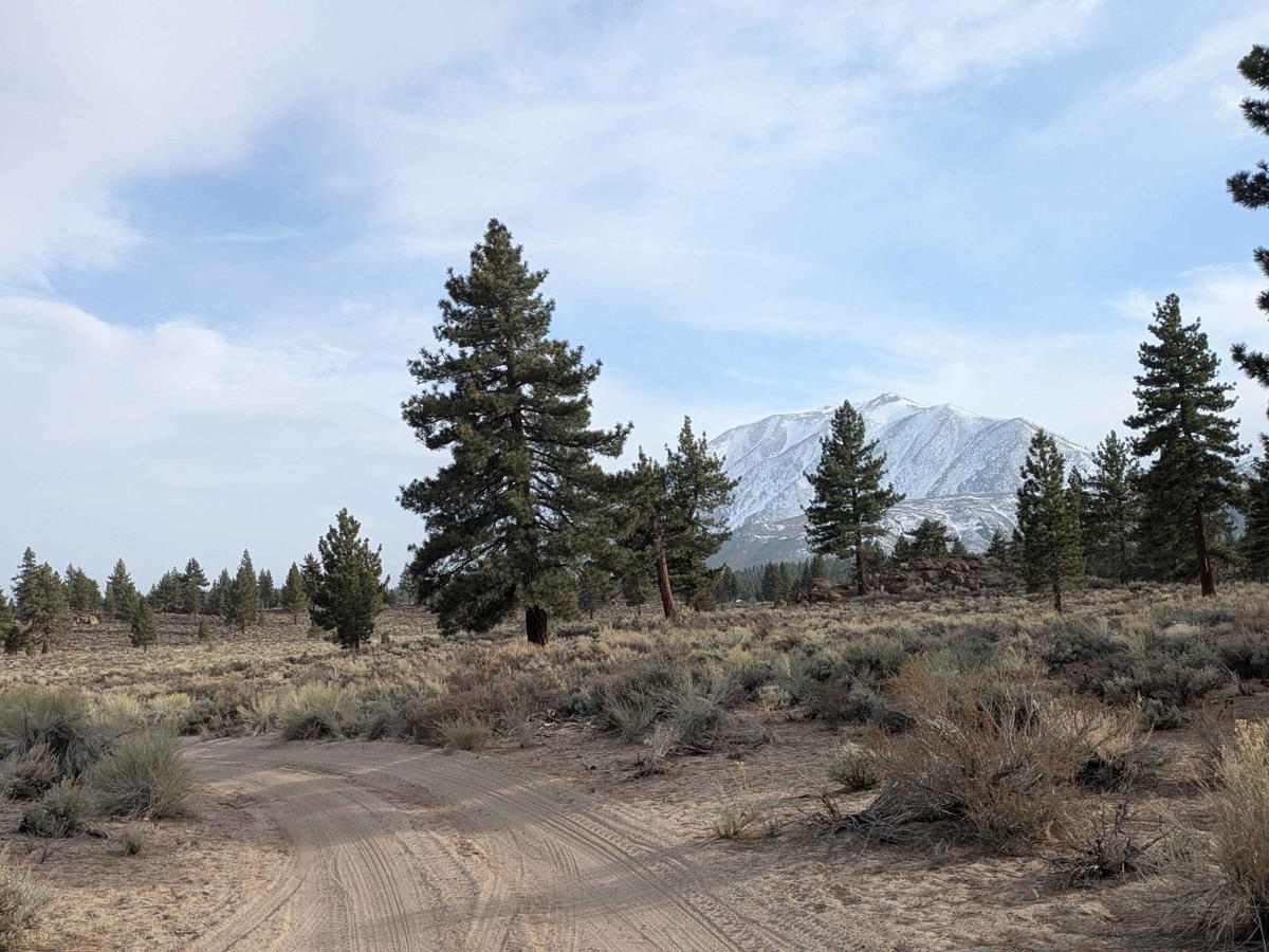 Sheep Camp Road - FS4S03 photo 5