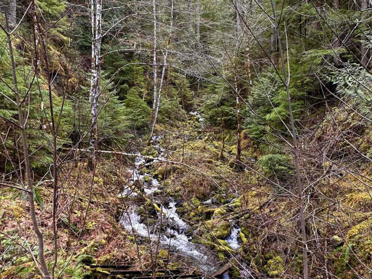 Rocky Brook Road photo 5
