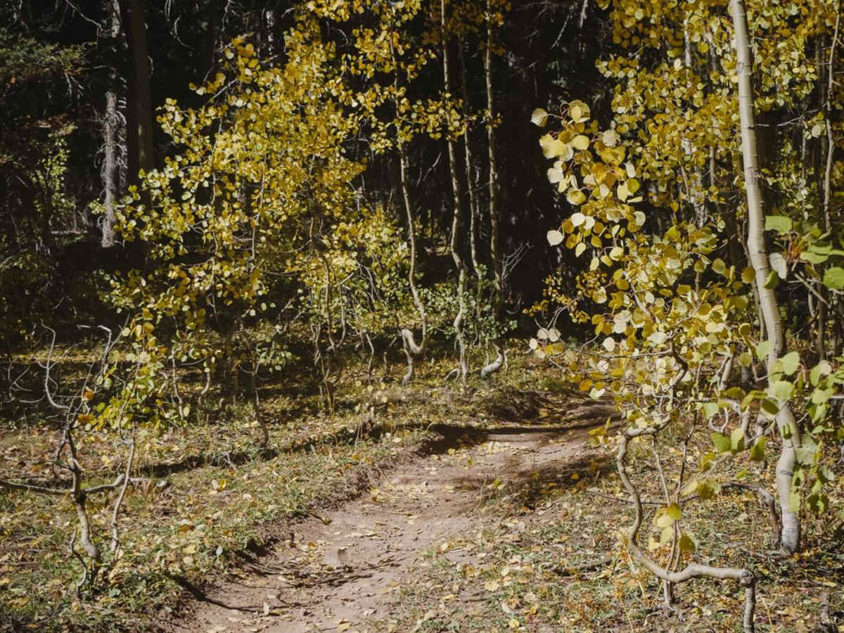 Grays Creek Trail photo 6