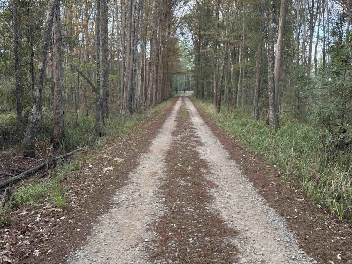Mud Creek Road photo 2