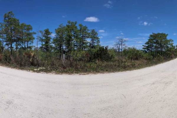 South Grade Trail