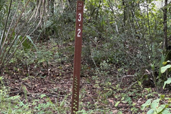 Ocklawaha Trail - ONF SE24ST