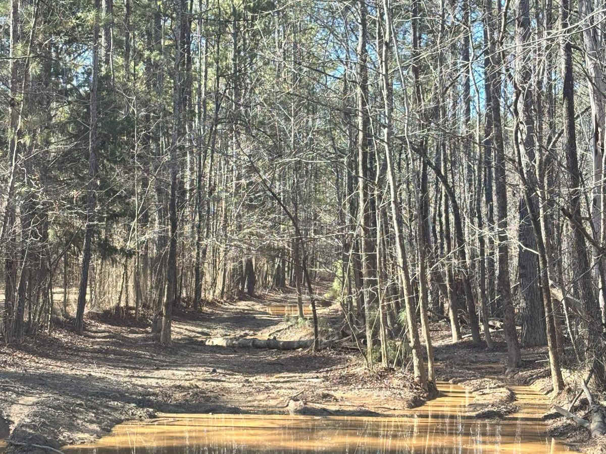 18A trail photo