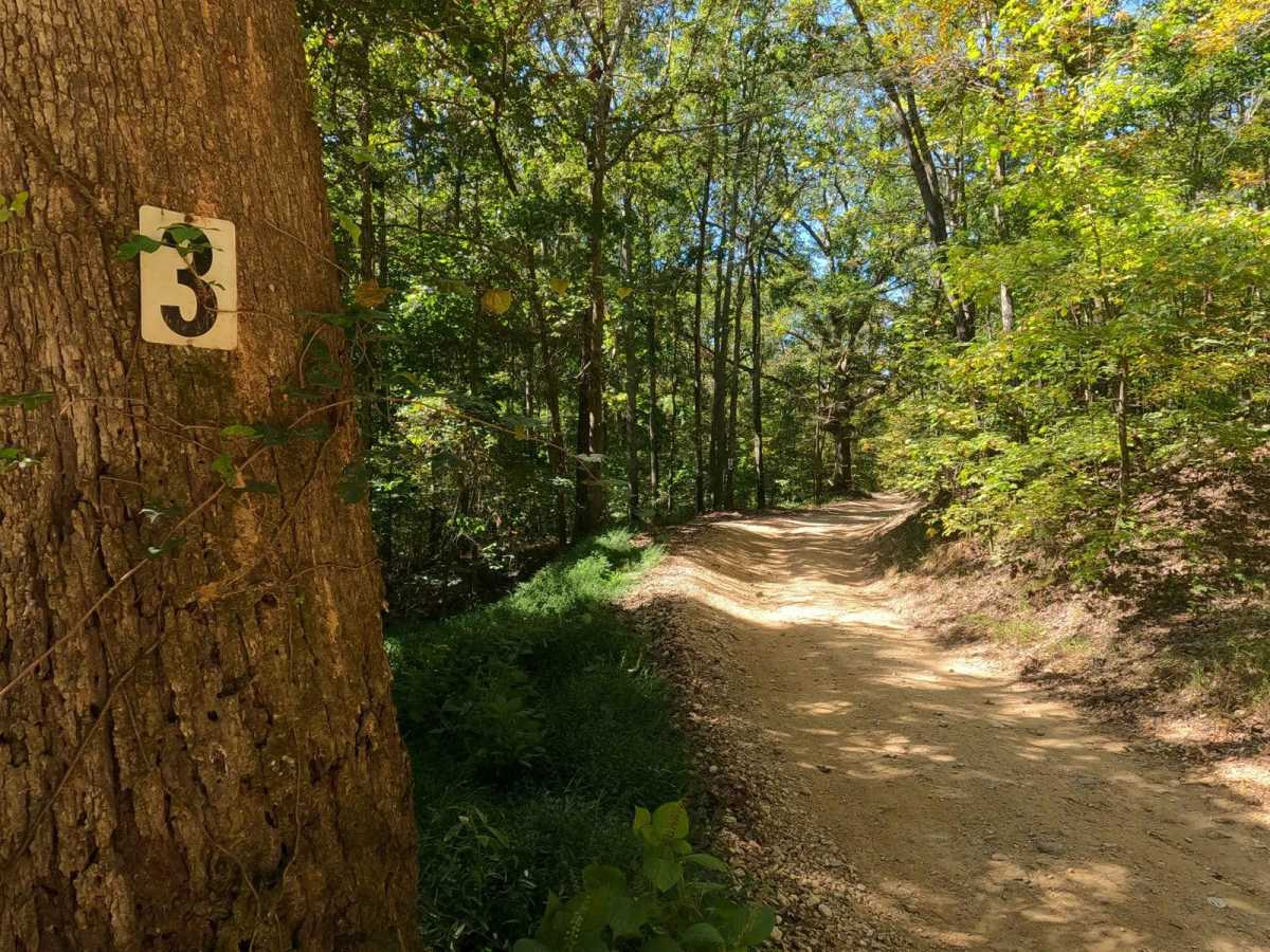 3 to 4 Road trail photo