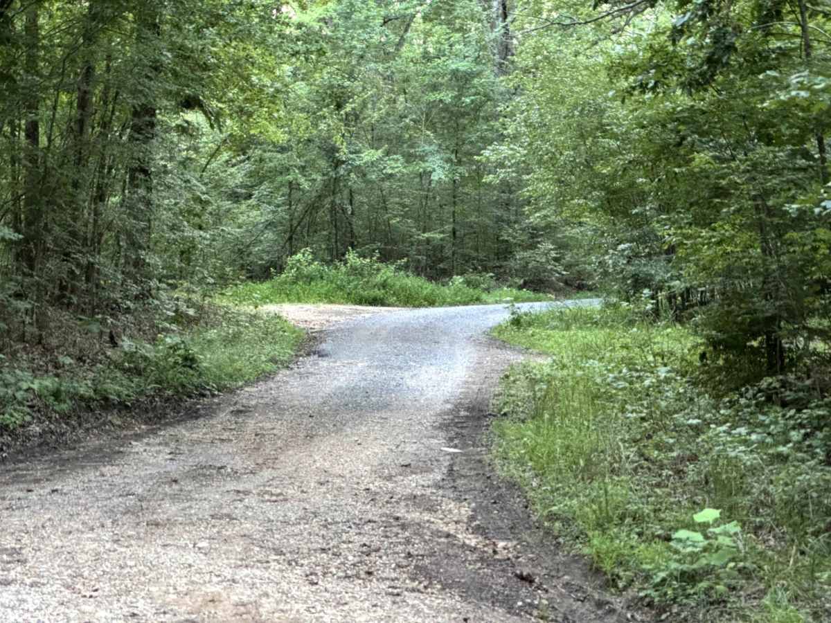 Lake Barkley Road photo 2