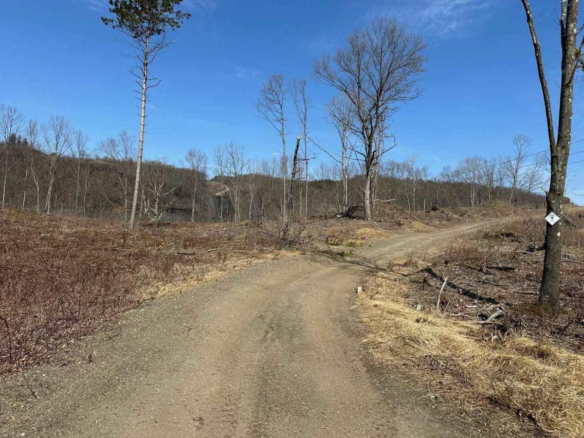 Ashland 18 trail photo