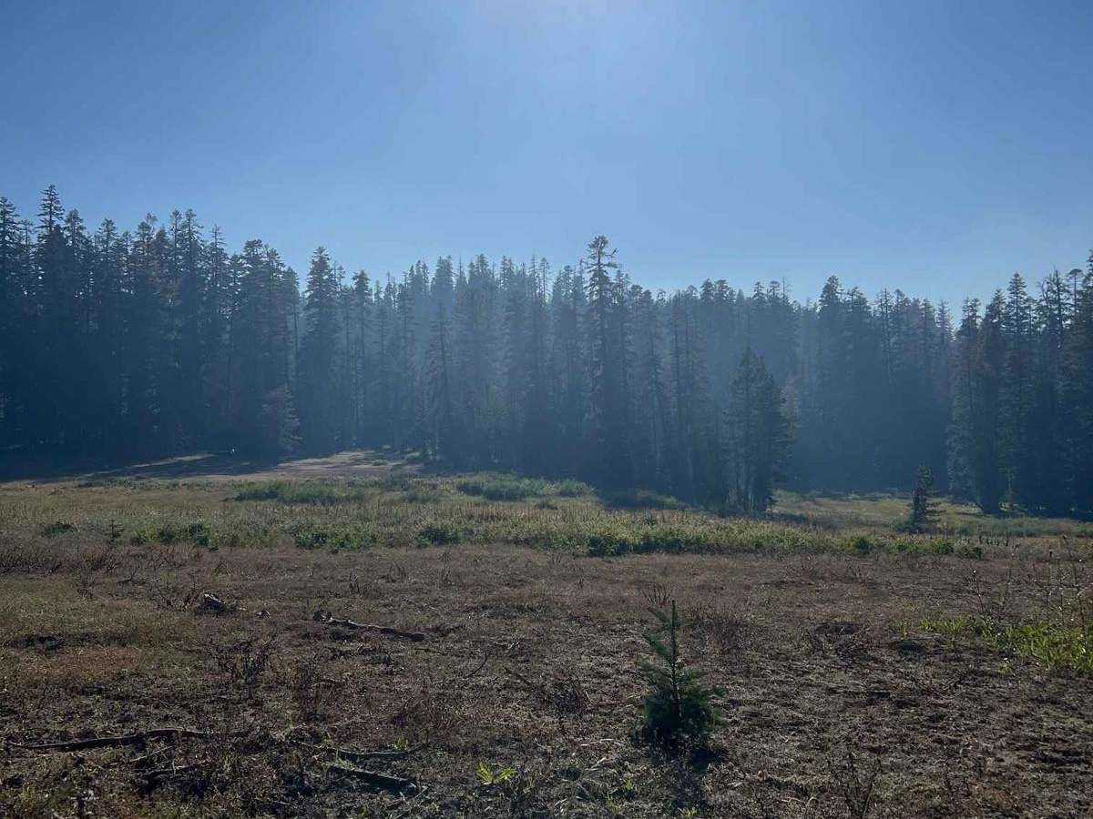 Pinecrest Lookout photo 6