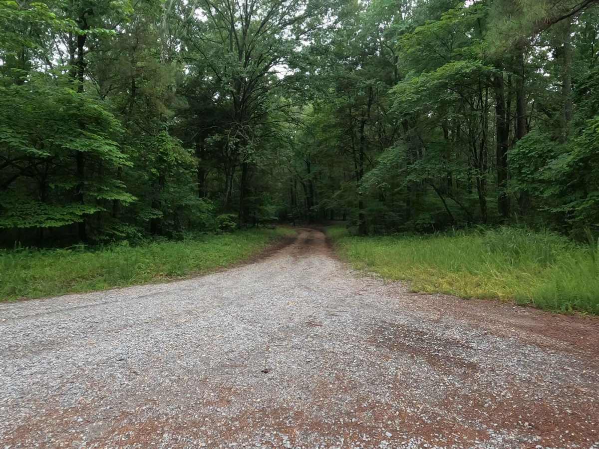 Morgan Cemetery Road FSR 222 photo 2