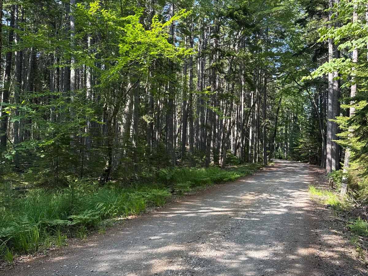 Western Mountain Road photo 2