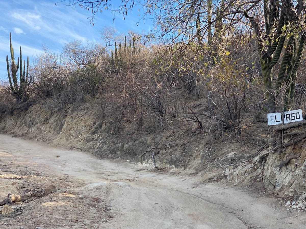 El Paso photo 6