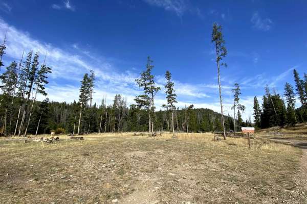 Rock Creek/Leadville