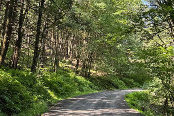 Cooley Creek Road