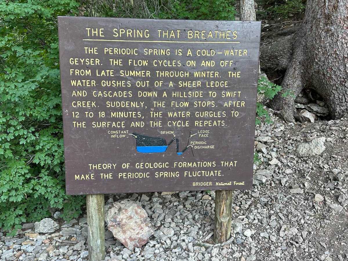 Swift Creek photo 3
