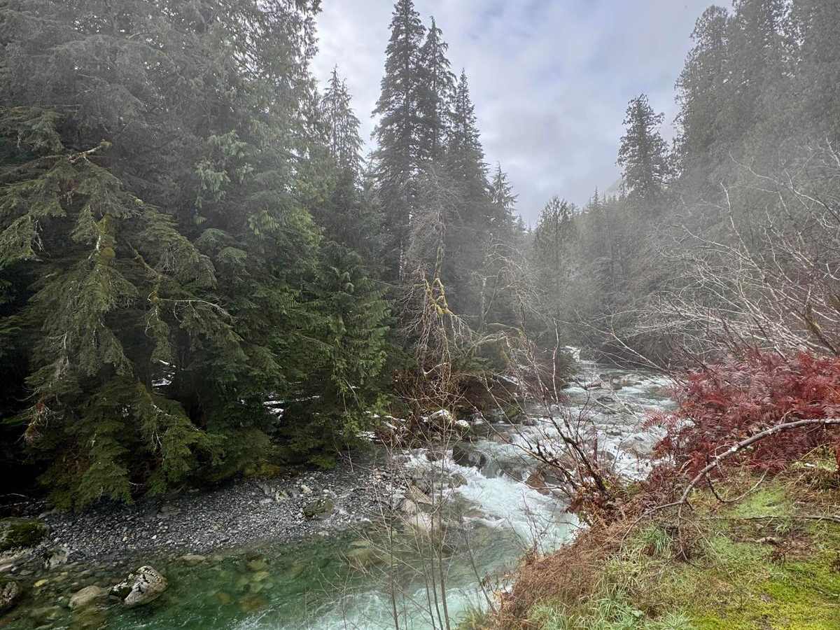 Sloquet Hot Springs photo 6