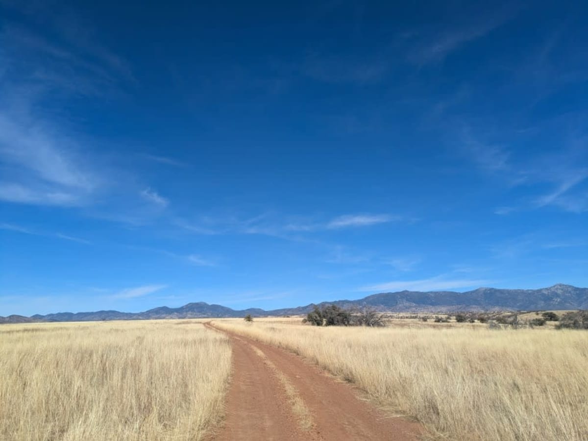 Parker Montezuma photo 4