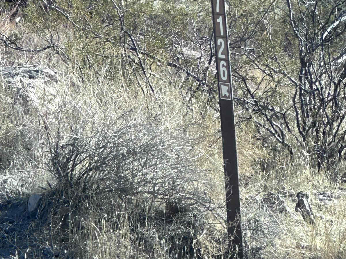 Angry Duck Trail photo 6