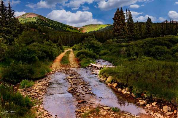 Forest Road 801