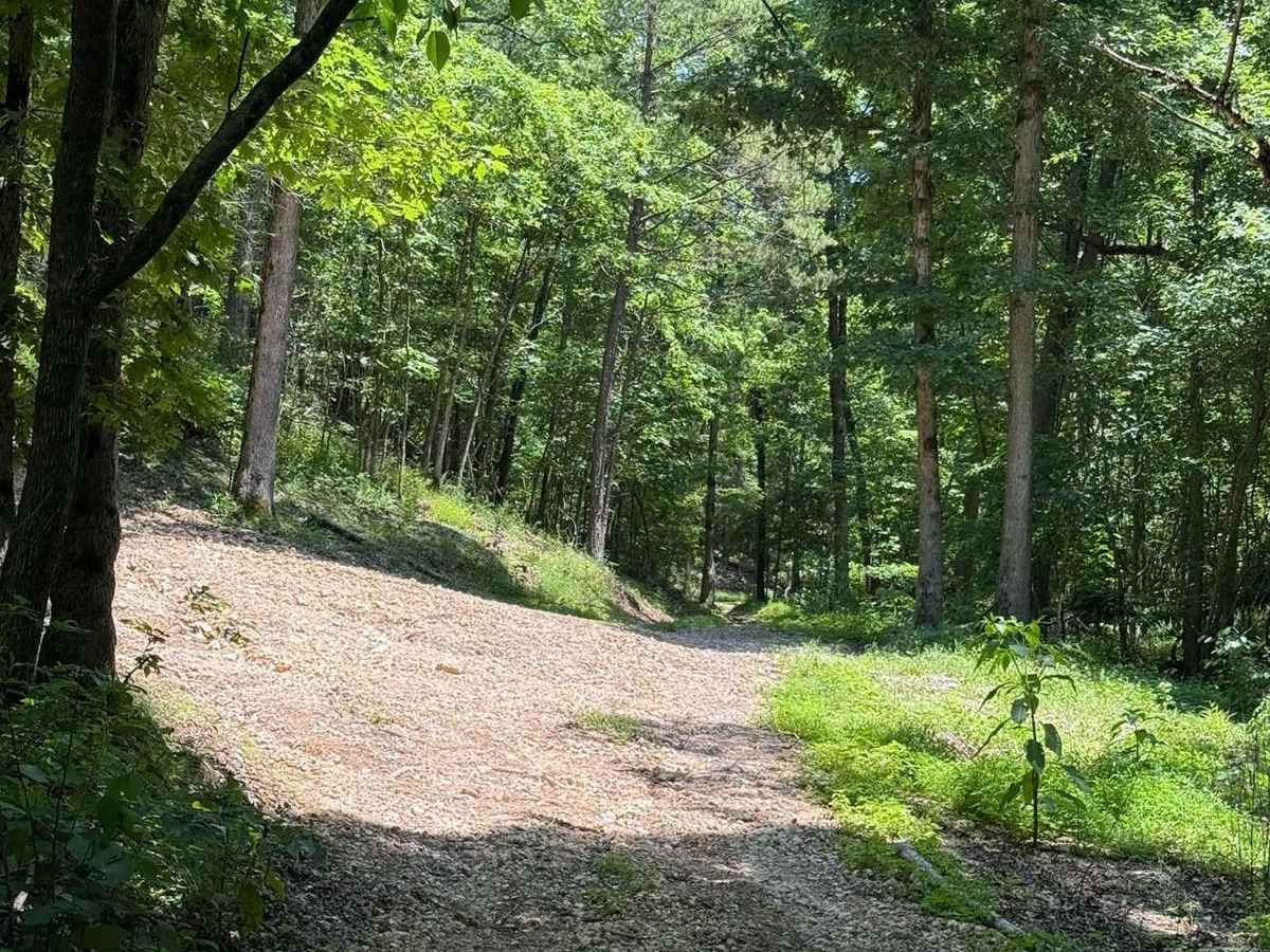 Gunnar's Trail photo 2