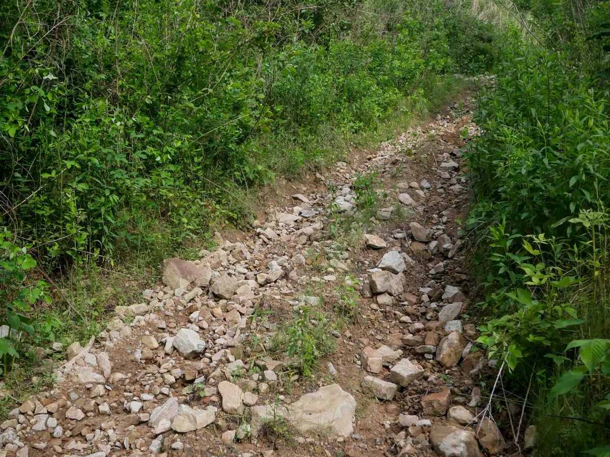 RV23 trail photo