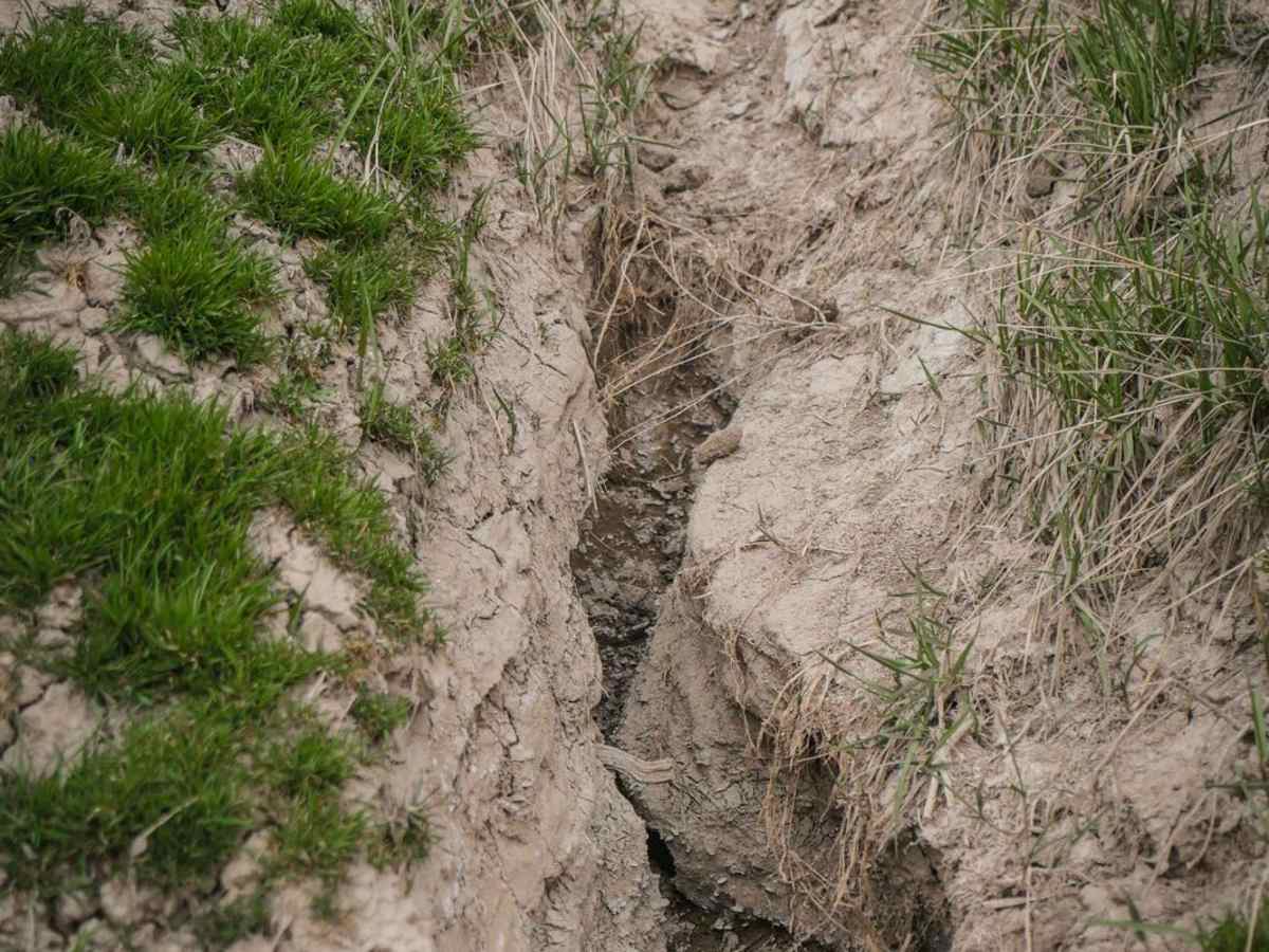 Narrow Gauge Ditch Part 1 photo 6
