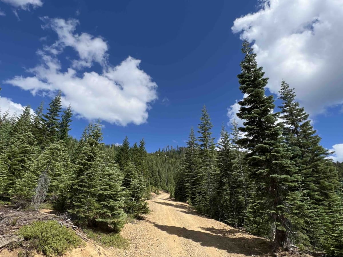 Timpanogas 2154 photo 5