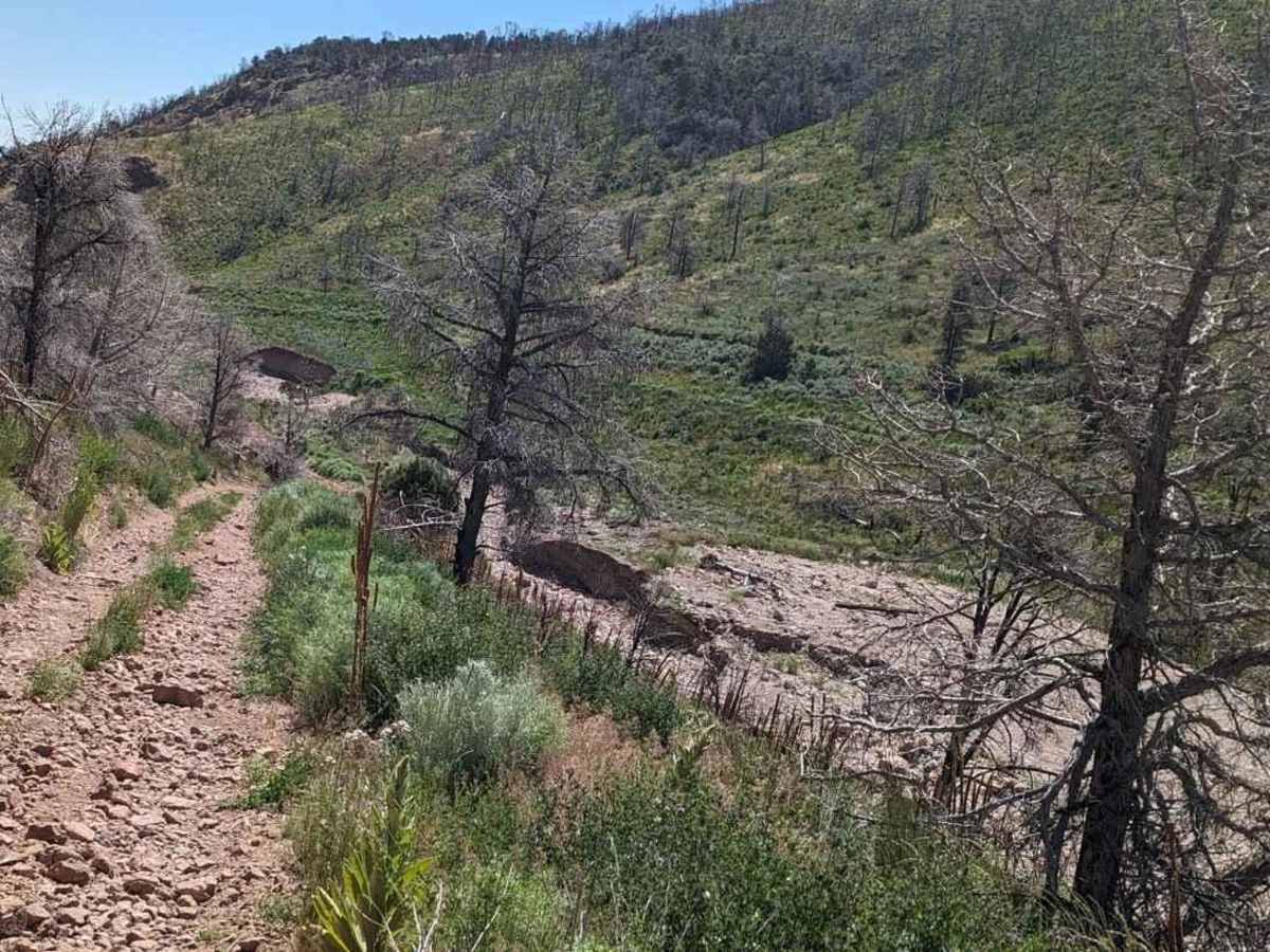 Johnny Canyon photo 4