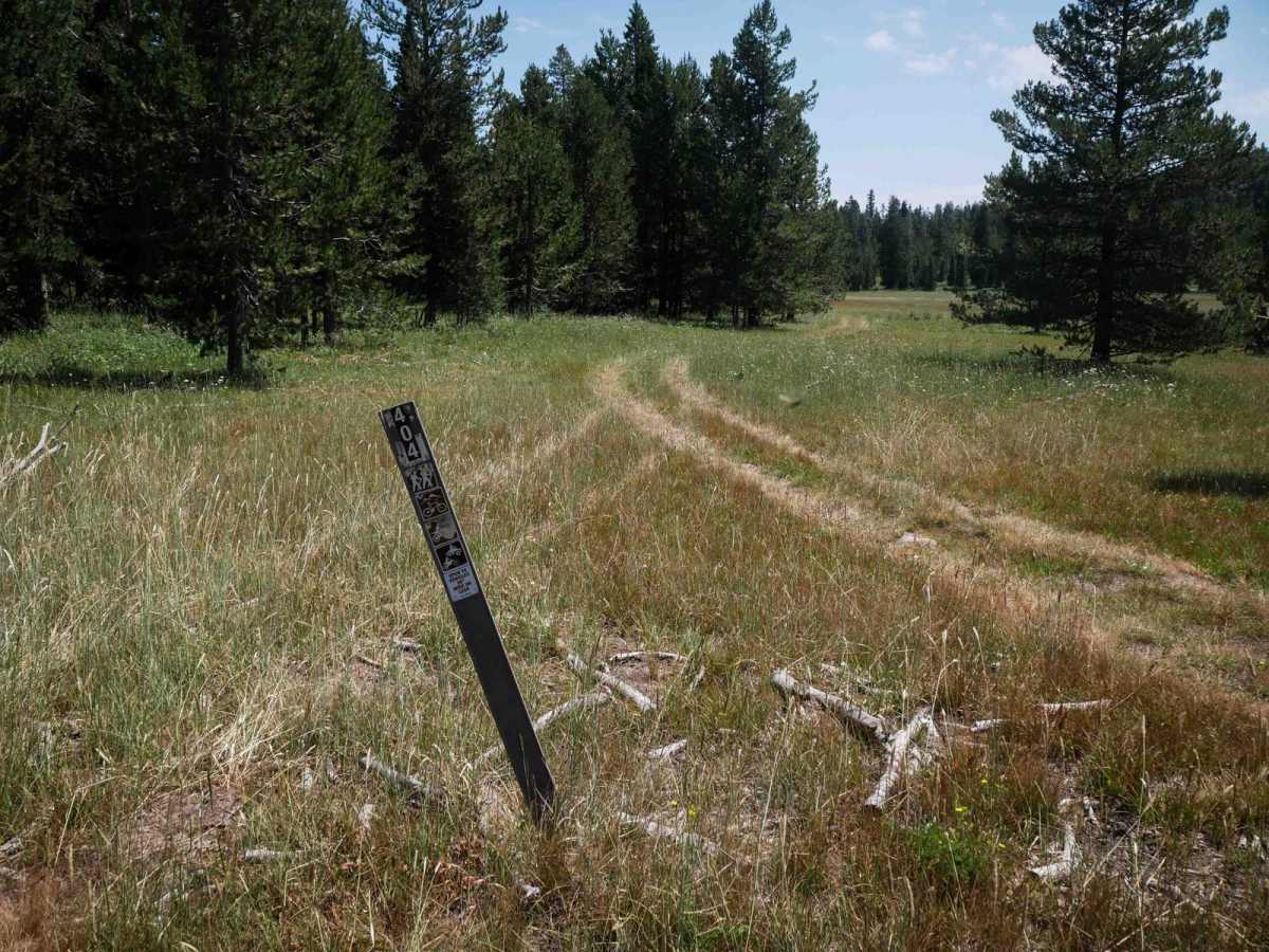 Moonlight Meadow #3404 trail photo