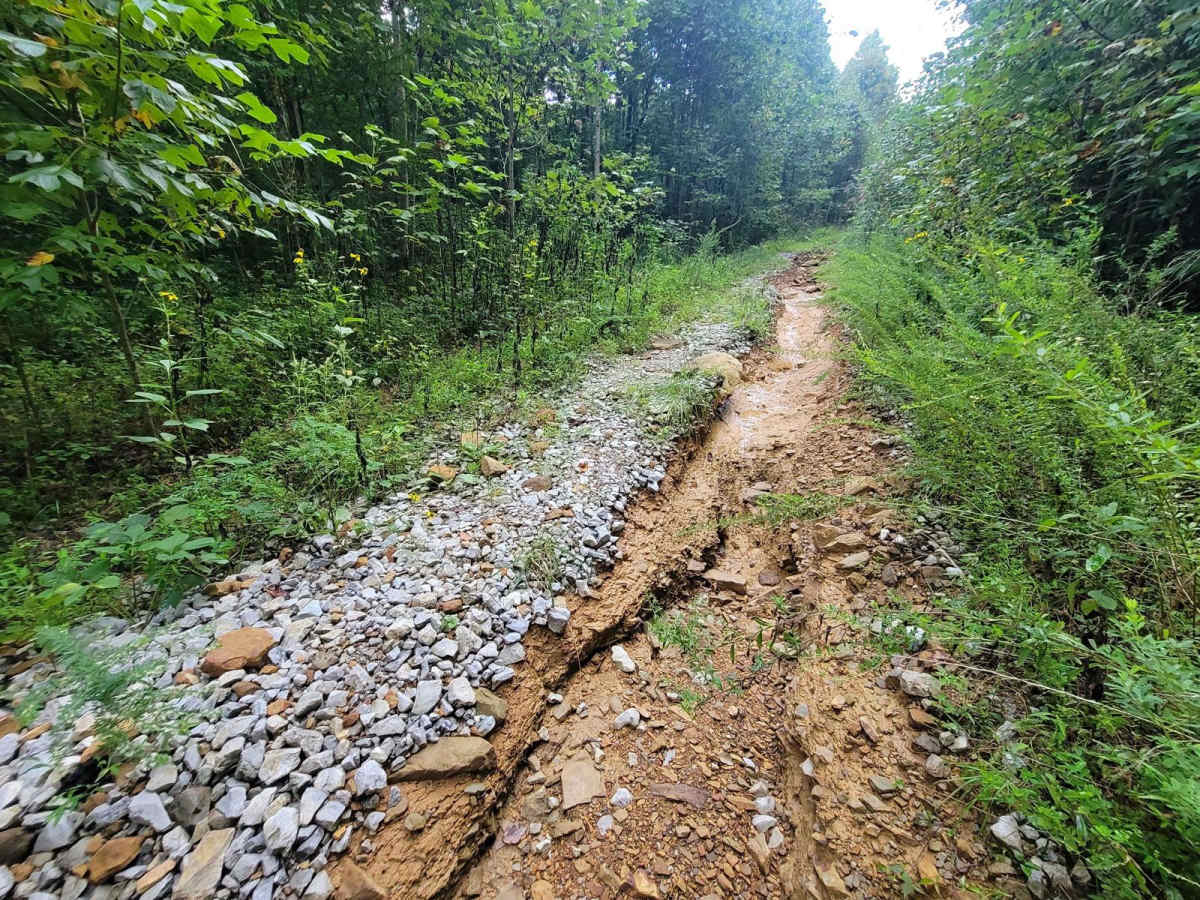 G21 - Skinned Ash Creek photo 5