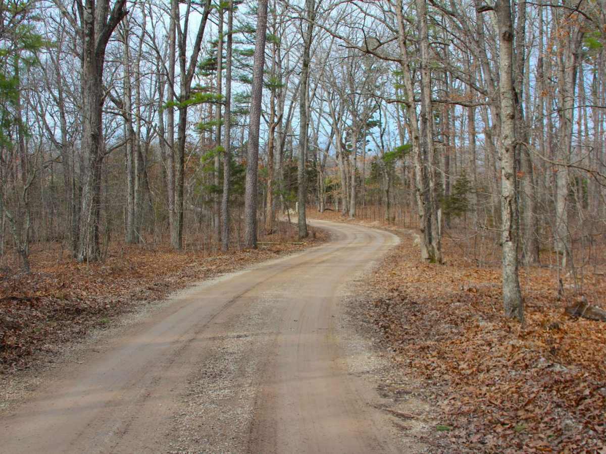 Martin Road - WCR 648 photo 6