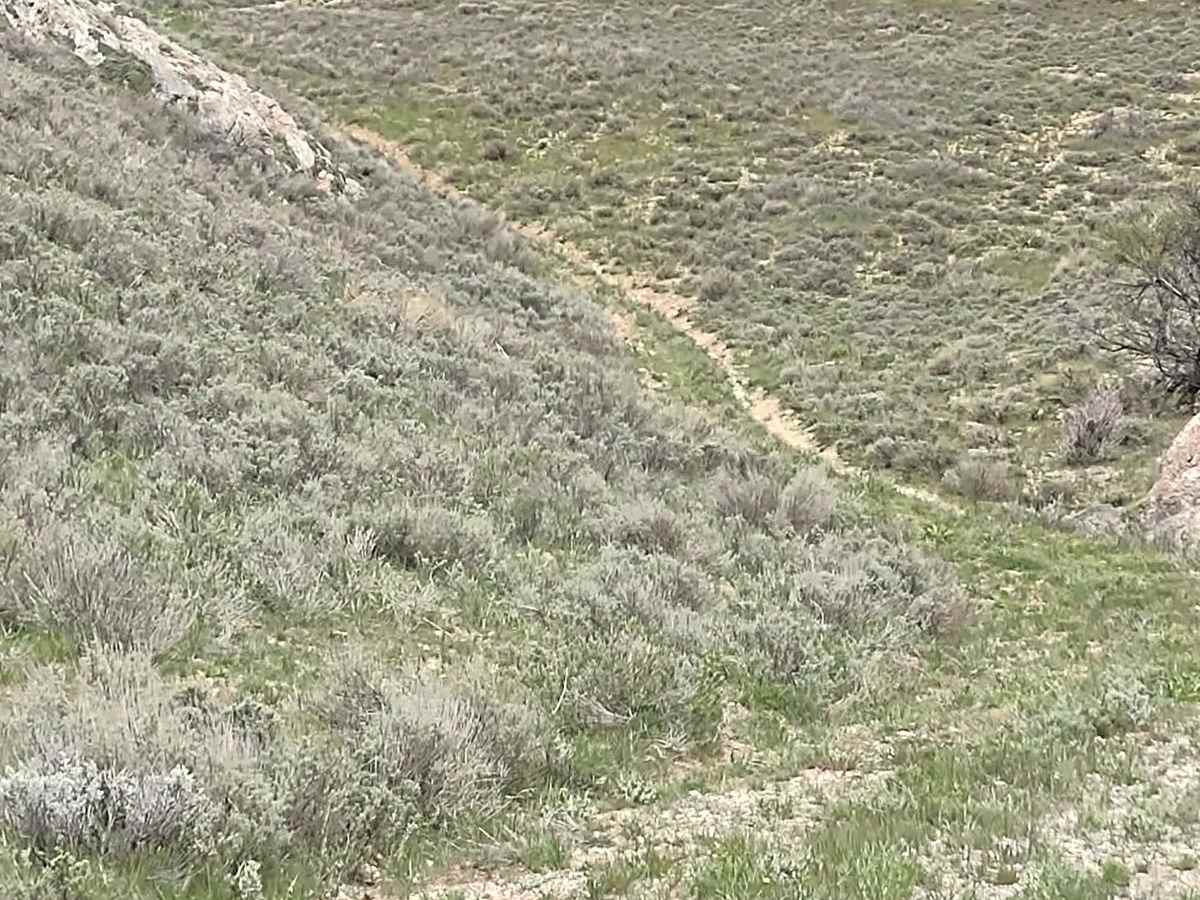 Hammond Canyon to Appendicitis Hill photo 4