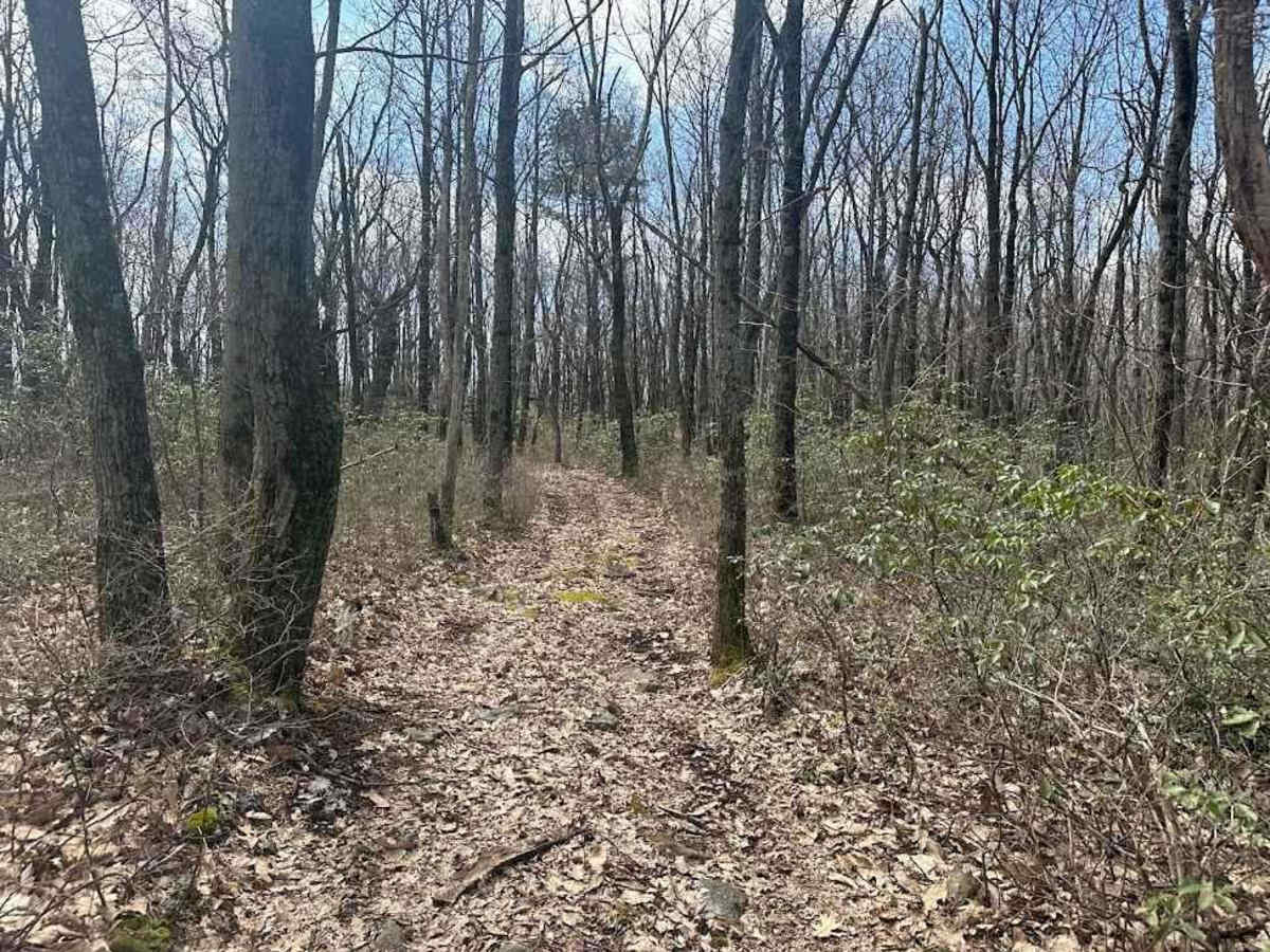 Ashland 174 photo 2
