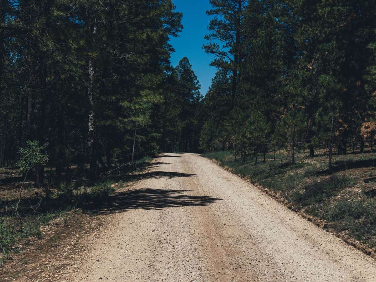 Corral Lake photo 5