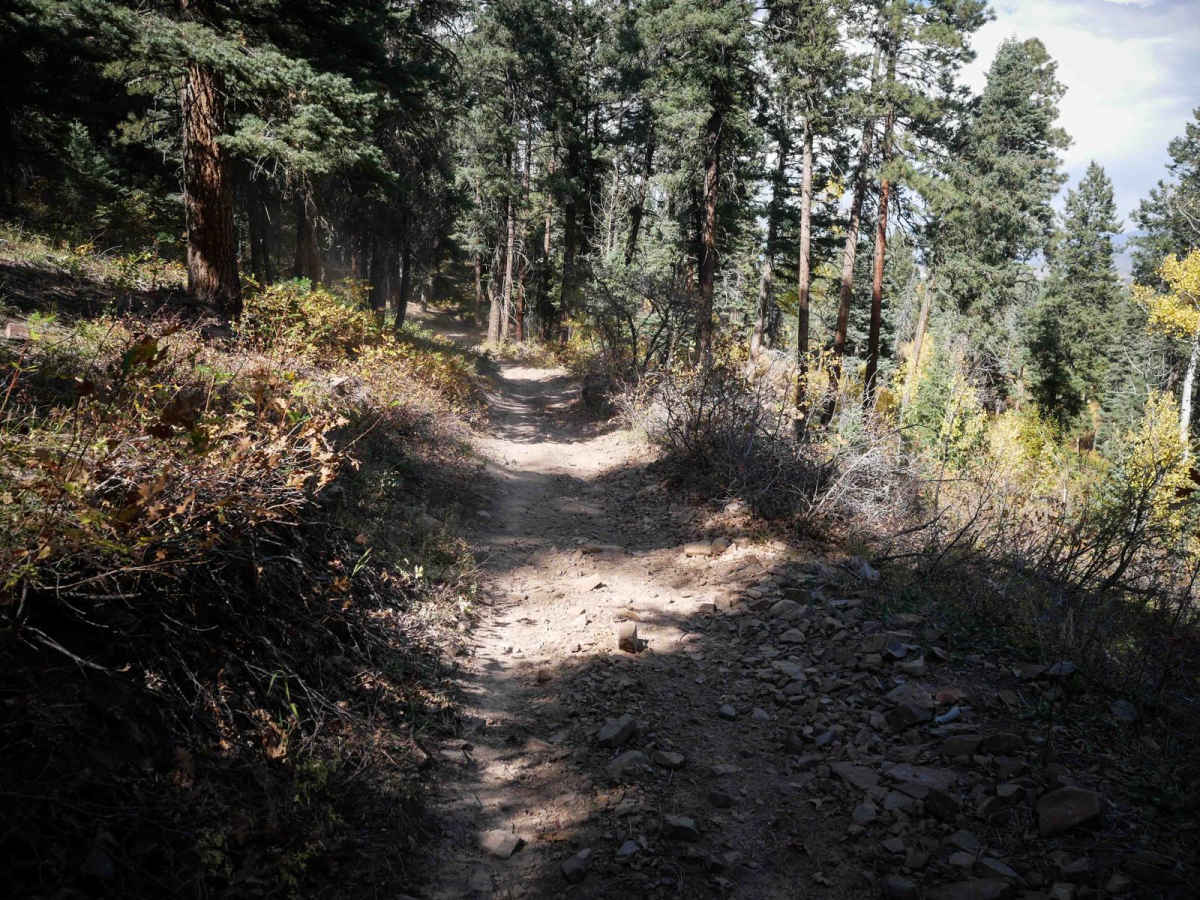 Chris Mountain photo 5