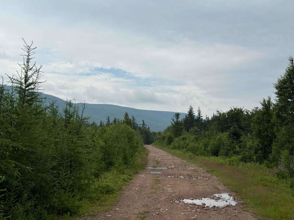 Stubbard Road photo 4