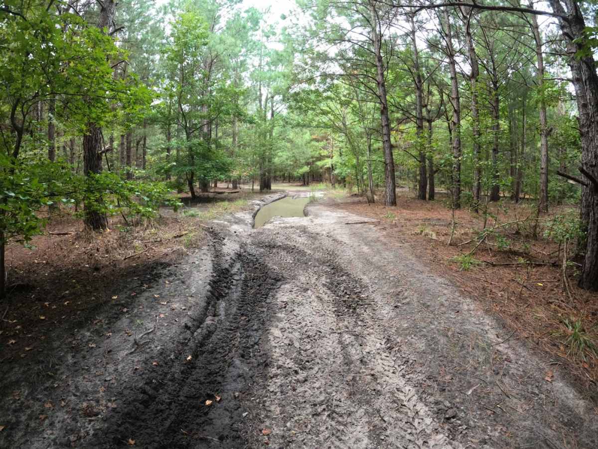 Laiklynn's Lane trail photo