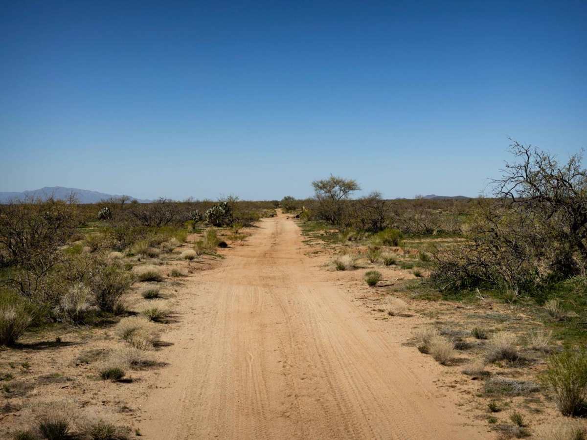 Jackrabbit Way photo 4