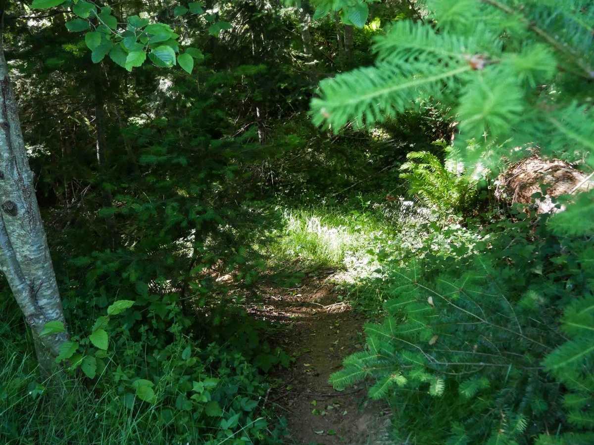 #47  photo 3