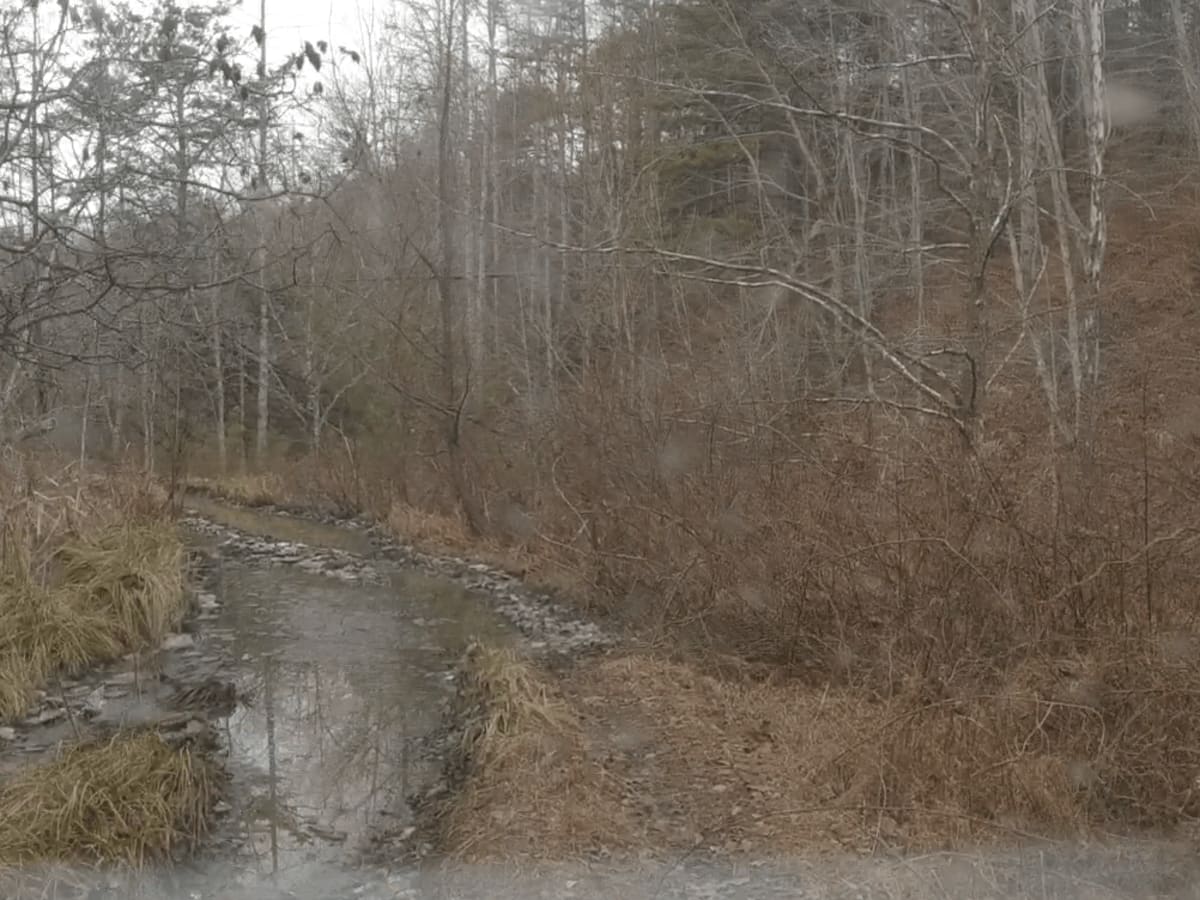 Big Branch Hill photo 4