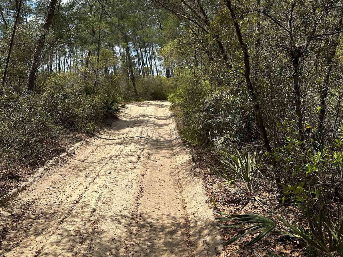 ONF Trail 5-9.0 photo 2