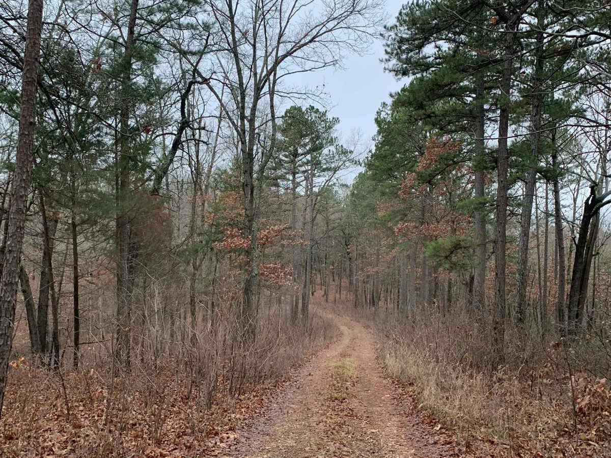 FR 1180 (Left Fork) photo 3