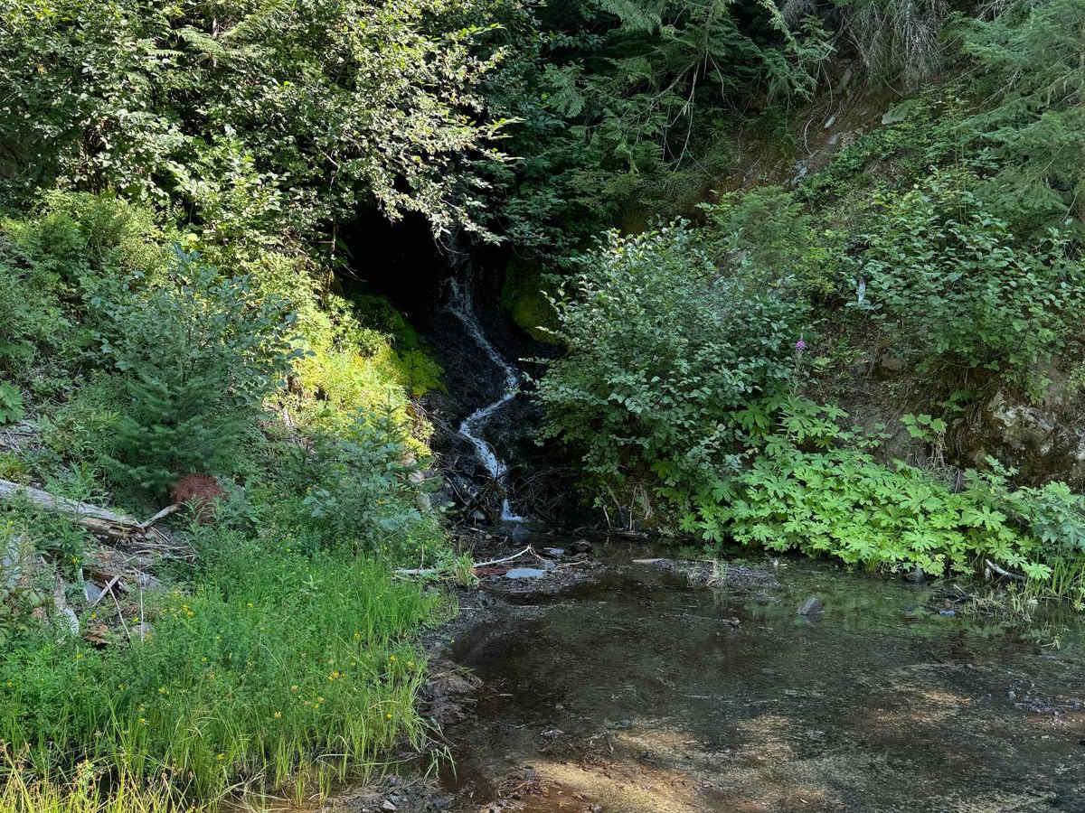 Evergreen Mountain trail photo